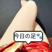 ヒメ日記 2025/12/12 14:10 投稿 みなと おいらん遊郭