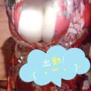 ヒメ日記 2026/03/29 11:05 投稿 みなと おいらん遊郭