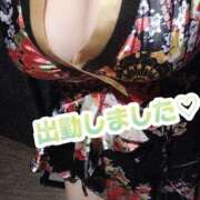 ヒメ日記 2026/04/24 11:07 投稿 みなと おいらん遊郭