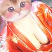 ヒメ日記 2026/04/17 11:05 投稿 ゆめか おいらん遊郭