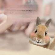 ヒメ日記 2025/12/30 04:27 投稿 まり シークレットサービス