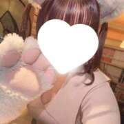 ヒメ日記 2025/11/15 19:03 投稿 おとは SPIN(スピン)