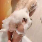 ヒメ日記 2025/11/21 10:13 投稿 のあ【人妻】 恵比寿コレクション　久留米本店