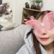 ヒメ日記 2025/11/12 08:15 投稿 霧島 明日香 KOBE GOLD