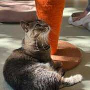 ヒメ日記 2025/12/20 09:20 投稿 霧島 明日香 KOBE GOLD