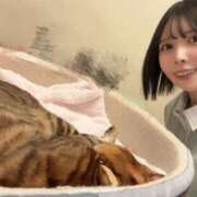 ヒメ日記 2026/09/26 08:44 投稿 霧島 明日香 KOBE GOLD（神戸ゴールド）