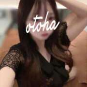 ヒメ日記 2025/11/19 09:45 投稿 おとは KOBE GOLD