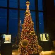 ヒメ日記 2025/12/13 21:04 投稿 じゅり KOBE GOLD