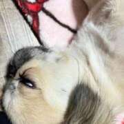 ヒメ日記 2025/12/22 14:17 投稿 じゅり KOBE GOLD