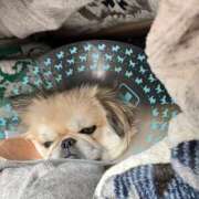 ヒメ日記 2026/02/10 07:47 投稿 じゅり KOBE GOLD