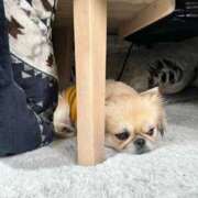 ヒメ日記 2026/02/24 19:37 投稿 じゅり KOBE GOLD