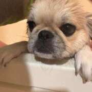 ヒメ日記 2026/04/14 18:02 投稿 じゅり KOBE GOLD