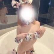 ヒメ日記 2026/01/24 00:56 投稿 ふうか KOBE GOLD