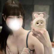 ヒメ日記 2025/11/10 07:30 投稿 うさぎ KOBE GOLD