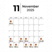 ヒメ日記 2025/11/10 20:11 投稿 うさぎ KOBE GOLD