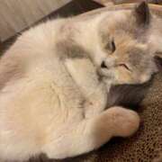 ヒメ日記 2025/11/05 16:52 投稿 かぐや アラモード