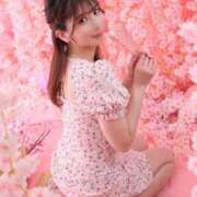 ヒメ日記 2026/04/01 15:02 投稿 ひかり KOBE GOLD