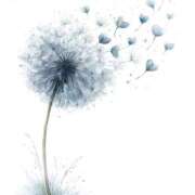 ヒメ日記 2026/02/05 21:05 投稿 ゆこ KOBE GOLD