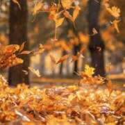 ヒメ日記 2026/02/10 22:05 投稿 ゆこ KOBE GOLD