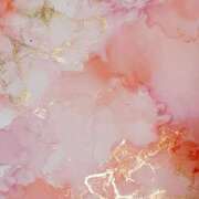 ヒメ日記 2026/02/17 21:23 投稿 ゆこ KOBE GOLD