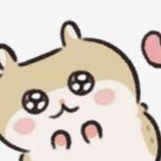 ヒメ日記 2025/11/07 16:47 投稿 難せいら スピード日本橋店