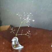 ヒメ日記 2025/11/18 12:20 投稿 センリ【名駅店】 マネキン 名駅店