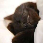 ヒメ日記 2025/11/23 12:06 投稿 センリ【名駅店】 マネキン 名駅店