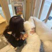 ヒメ日記 2025/11/25 17:44 投稿 KONATSU GINGIRA☆TOKYO～ギンギラ東京～