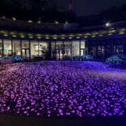 ヒメ日記 2025/11/27 07:37 投稿 あやこ ハピネス東京