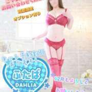 ヒメ日記 2025/12/01 20:36 投稿 双葉(ふたば) DAHLIA(ダリア)