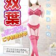 ヒメ日記 2025/12/13 07:37 投稿 双葉(ふたば) DAHLIA(ダリア)