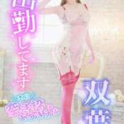 ヒメ日記 2025/12/19 16:07 投稿 双葉(ふたば) DAHLIA(ダリア)