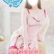 ヒメ日記 2026/01/02 11:22 投稿 双葉(ふたば) DAHLIA(ダリア)