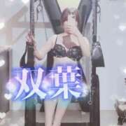 ヒメ日記 2026/01/25 15:55 投稿 双葉(ふたば) DAHLIA(ダリア)