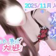 ヒメ日記 2026/01/29 12:39 投稿 双葉(ふたば) DAHLIA(ダリア)