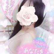 ヒメ日記 2026/01/30 07:38 投稿 双葉(ふたば) DAHLIA(ダリア)