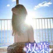 ヒメ日記 2026/01/31 07:42 投稿 双葉(ふたば) DAHLIA(ダリア)