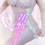 ヒメ日記 2026/02/01 17:17 投稿 双葉(ふたば) DAHLIA(ダリア)