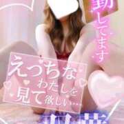 ヒメ日記 2026/02/03 10:00 投稿 双葉(ふたば) DAHLIA(ダリア)