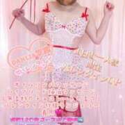 ヒメ日記 2026/02/03 12:16 投稿 双葉(ふたば) DAHLIA(ダリア)