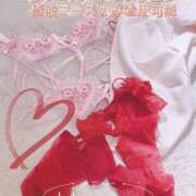 ヒメ日記 2026/02/05 18:04 投稿 双葉(ふたば) DAHLIA(ダリア)