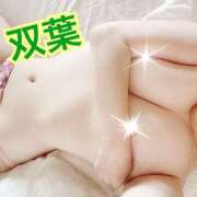 ヒメ日記 2026/02/08 09:22 投稿 双葉(ふたば) DAHLIA(ダリア)