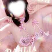 ヒメ日記 2026/02/08 16:30 投稿 双葉(ふたば) DAHLIA(ダリア)