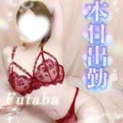 ヒメ日記 2026/02/09 12:02 投稿 双葉(ふたば) DAHLIA(ダリア)