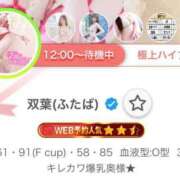 ヒメ日記 2026/02/09 12:28 投稿 双葉(ふたば) DAHLIA(ダリア)