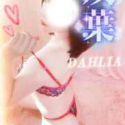 ヒメ日記 2026/02/10 19:23 投稿 双葉(ふたば) DAHLIA(ダリア)