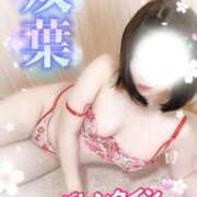 ヒメ日記 2026/02/11 13:36 投稿 双葉(ふたば) DAHLIA(ダリア)