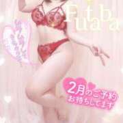 ヒメ日記 2026/02/21 09:13 投稿 双葉(ふたば) DAHLIA(ダリア)