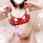 ヒメ日記 2026/02/23 11:09 投稿 双葉(ふたば) DAHLIA(ダリア)