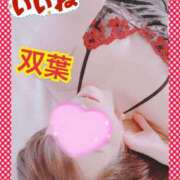 ヒメ日記 2026/02/24 11:41 投稿 双葉(ふたば) DAHLIA(ダリア)